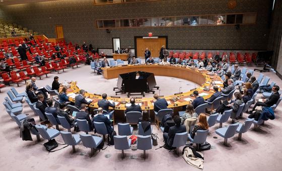 联合国安理会就利比亚局势召开会议的全景画面。